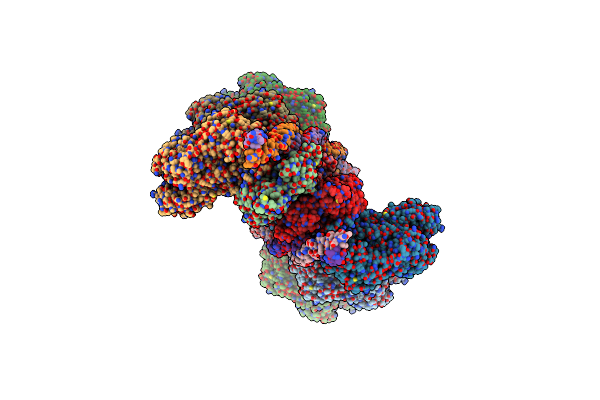 8ZBN image