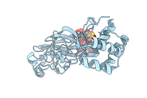 8ZBP image