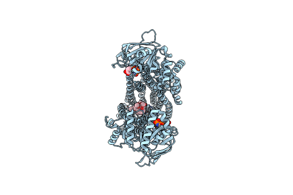 8ZBS image