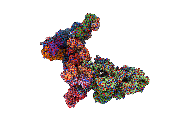 8ZC2 image