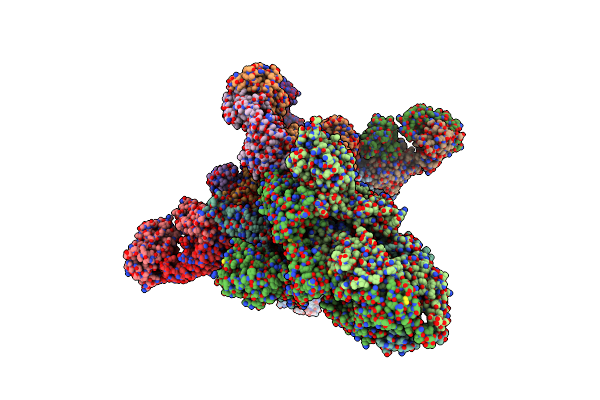 8ZC6 image