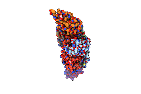8ZCA image