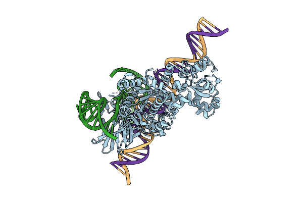 8ZCY image