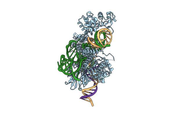 8ZD0 image