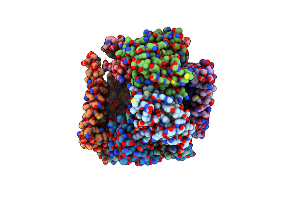 8ZD5 image