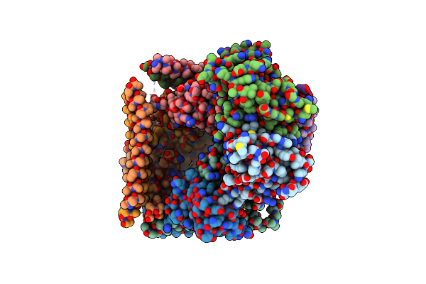 8ZD6 image