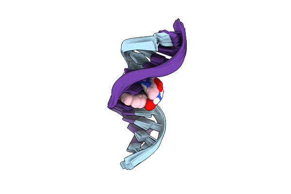 8ZD7 image