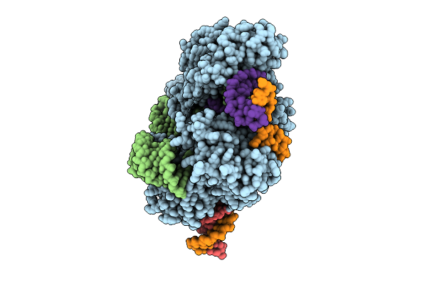 8ZDA image