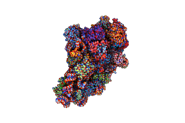 8ZDC image