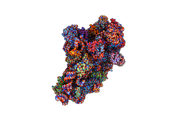 8ZDD image