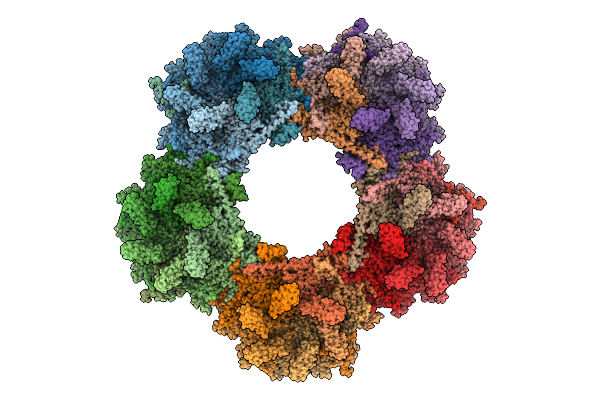 8ZDK image