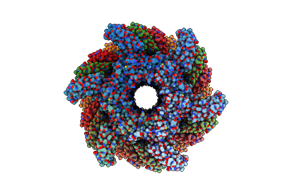 8ZDN image