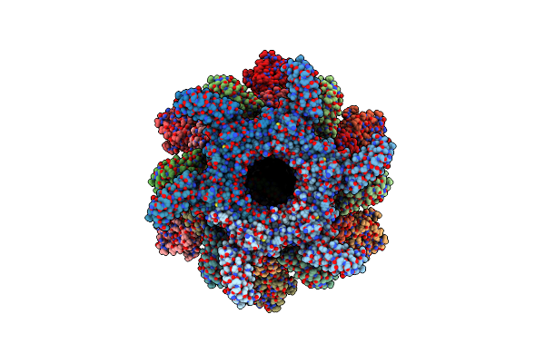 8ZDO image