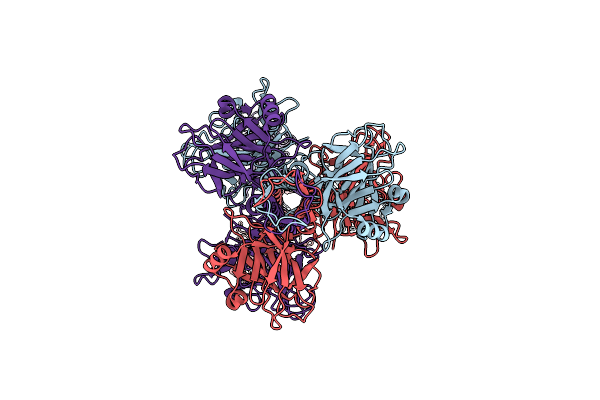 8ZDP image