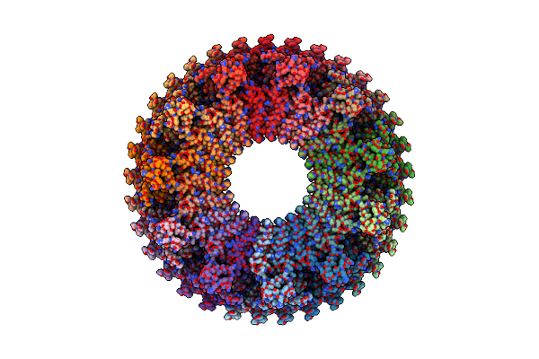 8ZDS image