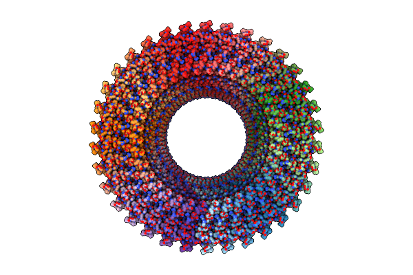 8ZDU image
