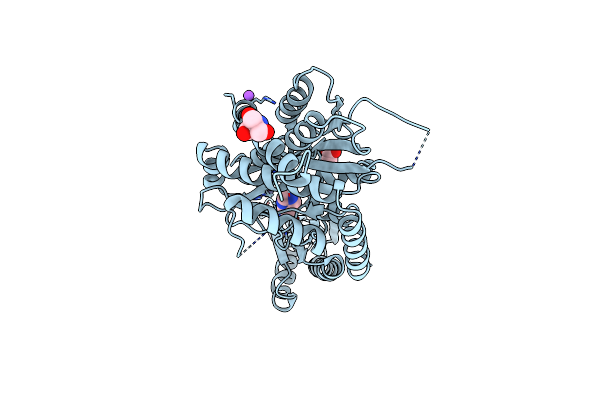8ZEI image