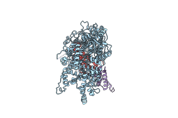 8ZEK image