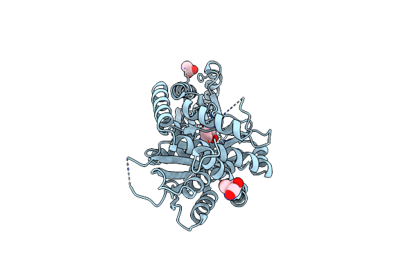 8ZEL image