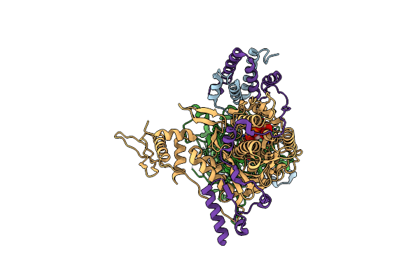8ZEO image