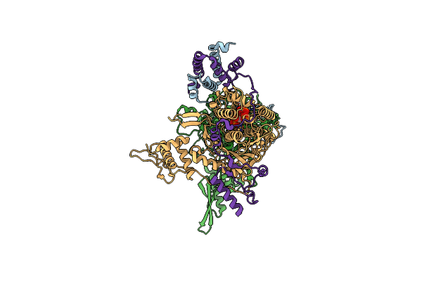 8ZEP image