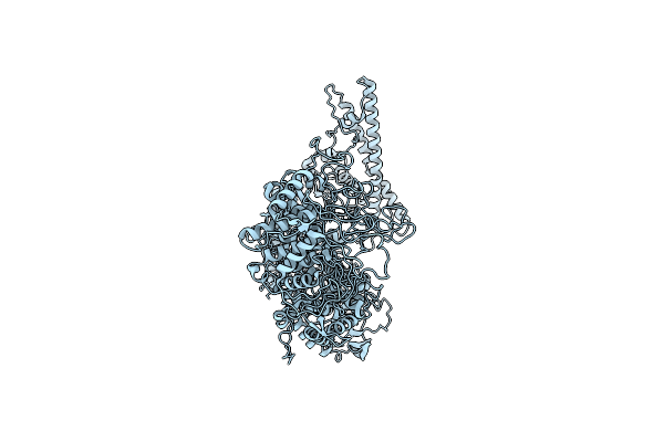 8ZEQ image