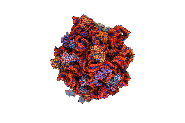 8ZFI image