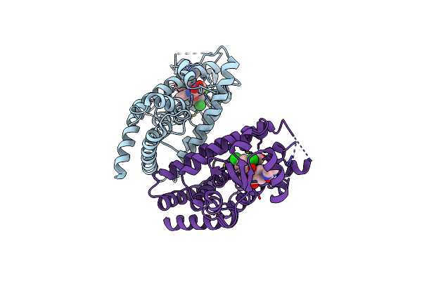 8ZFQ image