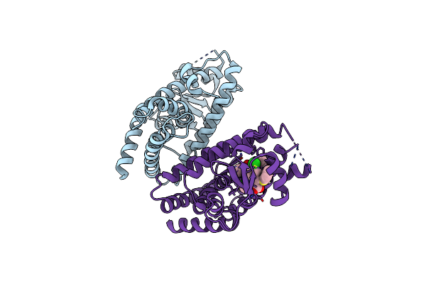 8ZFR image