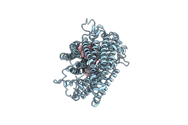 8ZGO image