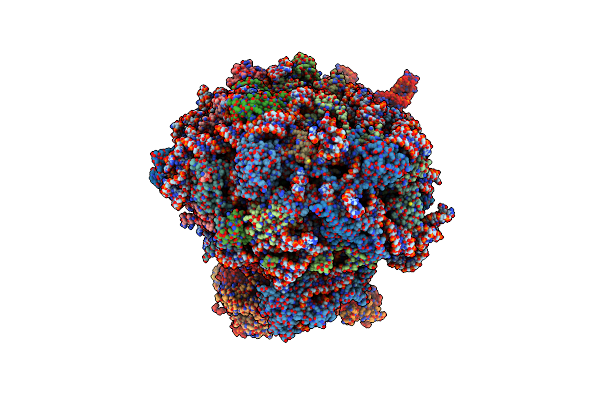 8ZH3 image