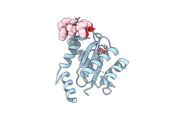 8ZH4 image