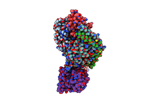 8ZH8 image