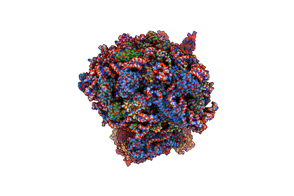 8ZHC image