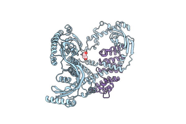 8ZHT image