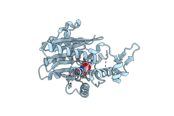 8ZIG image