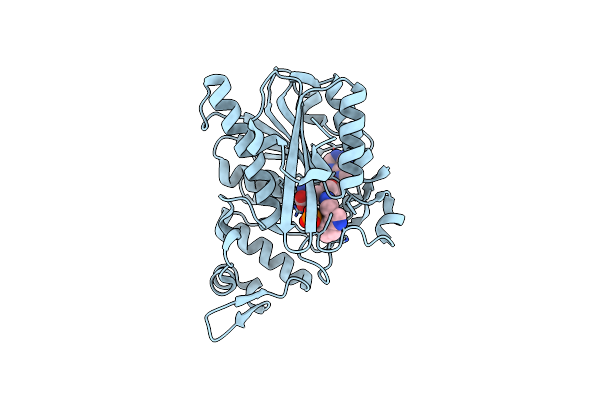 8ZII image