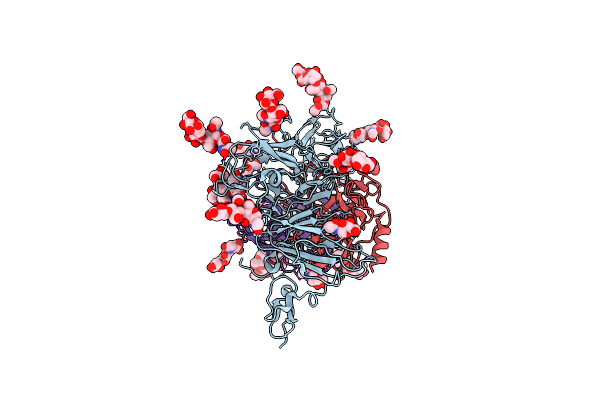 8ZIV image
