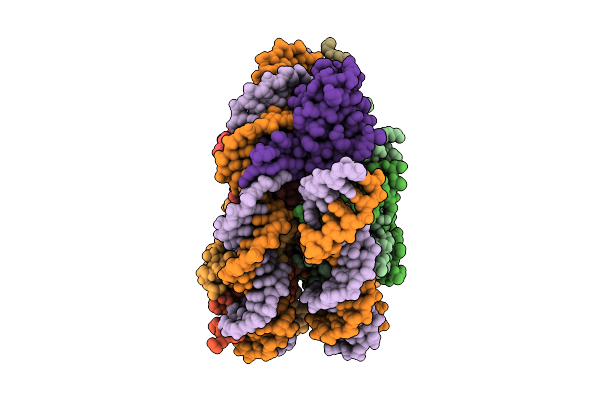 8ZJR image
