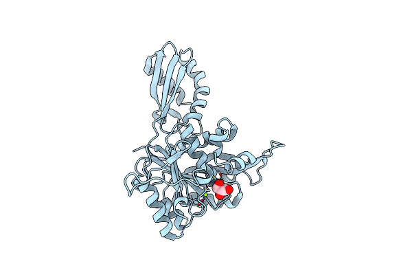 8ZKC image
