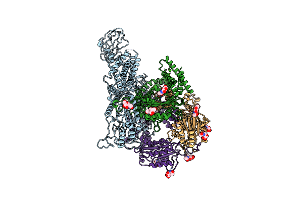 8ZKH image