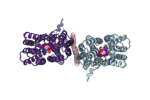 8ZKO image