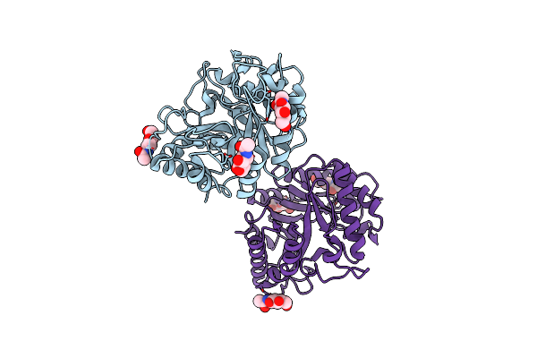 8ZLG image