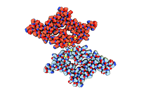 8ZLP image