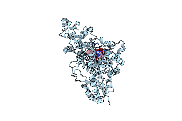 8ZLR image