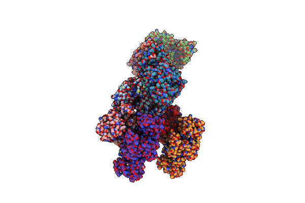 8ZLY image