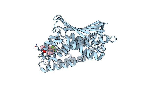 8ZM2 image