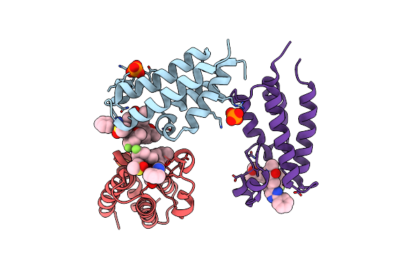 8ZMB image