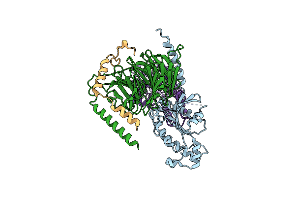 8ZMD image