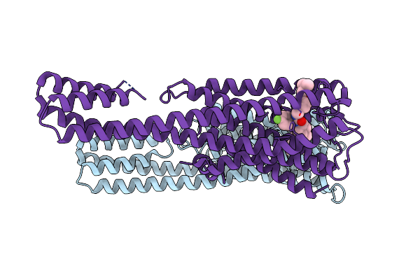 8ZMG image